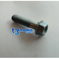 Tornillo silencioso sherco enduro